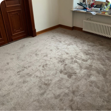 Благотворительный фонд 3